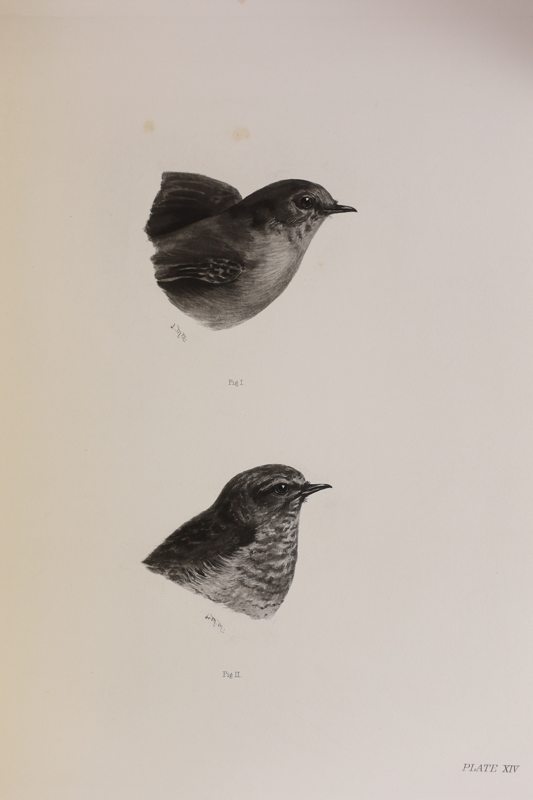 Stonham, Charles - The Birds of the British Islands, 5 vols, 4to, original cloth, illustrated by Lilian Medland, with 318 engraved plates and 2 folding maps, London, 1906-11